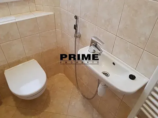 Pronájem bytu 2+1, Praha - Nové Město, Záhořanského, 124 m2