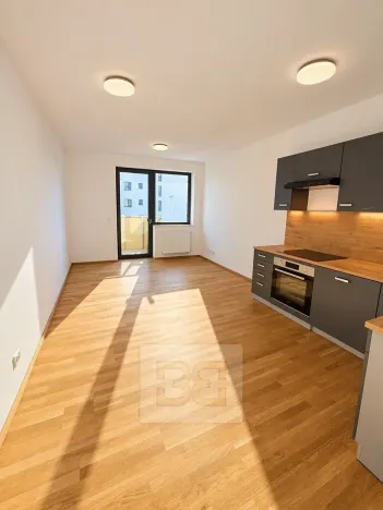 Pronájem bytu 2+kk, Kladno, Lesík, 52 m2
