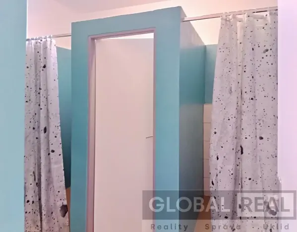 Pronájem ubytování, Pavlínov, 310 m2