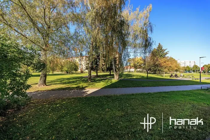 Pronájem bytu 3+1, Uničov, Nová, 62 m2