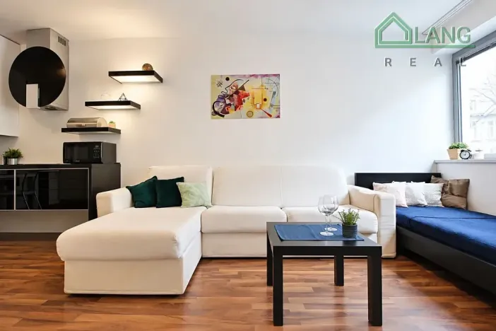 Pronájem bytu 1+kk, Brno, Hybešova, 36 m2