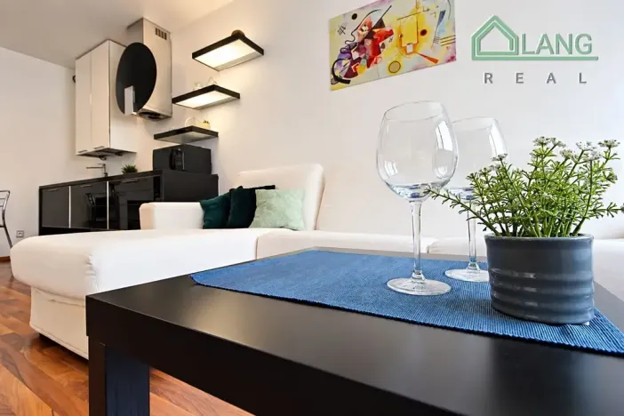 Pronájem bytu 1+kk, Brno, Hybešova, 36 m2