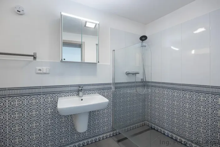Prodej rodinného domu, Brno - Slatina, Tilhonova, 154 m2