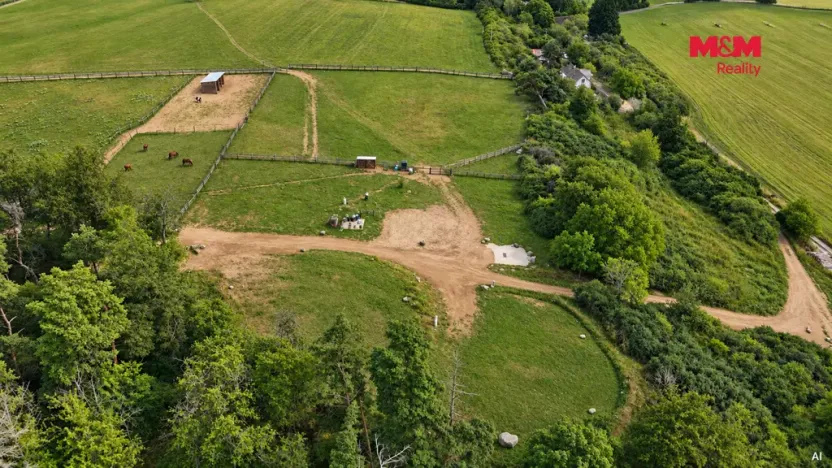 Pronájem komerčního pozemku, Planá, 33448 m2