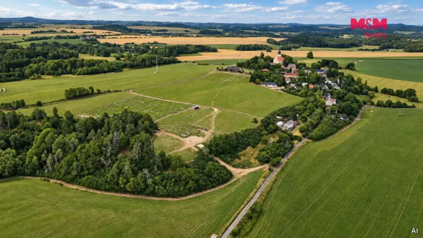 Pronájem komerčního pozemku, Planá, 33448 m2