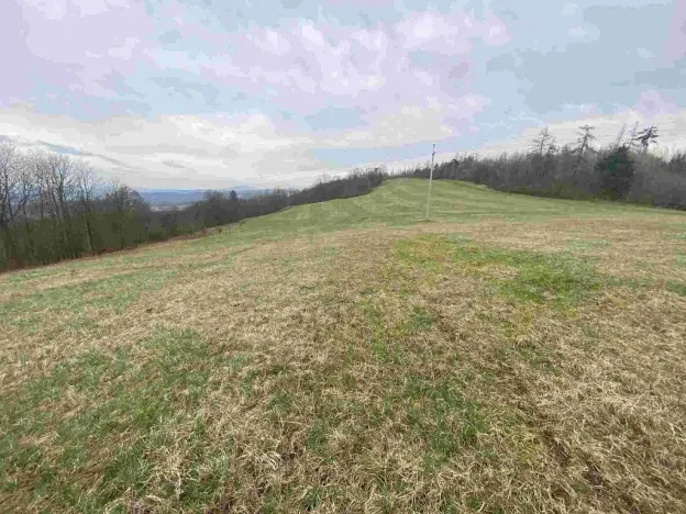 Prodej pole, Mírová pod Kozákovem - Vesec, 14714 m2