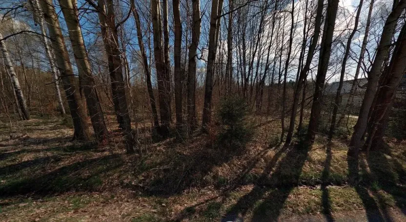 Prodej pozemku, Rozvadov, 2618 m2