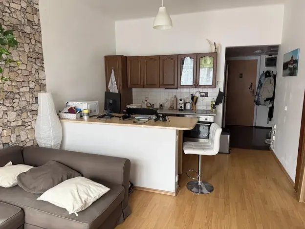 Pronájem bytu 2+kk, Praha - Žižkov, Hartigova, 52 m2