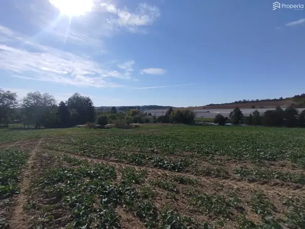 Prodej pozemku pro bydlení, Ježkovice, 56184 m2