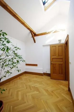 Pronájem bytu 4+1, Praha - Josefov, Žatecká, 195 m2