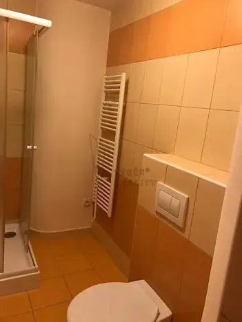 Pronájem bytu 1+kk, Litoměřice, Nerudova, 32 m2