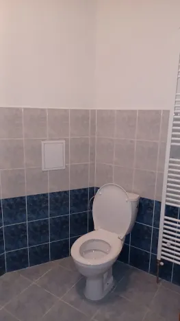 Pronájem bytu 2+kk, Plzeň, Koperníkova, 50 m2