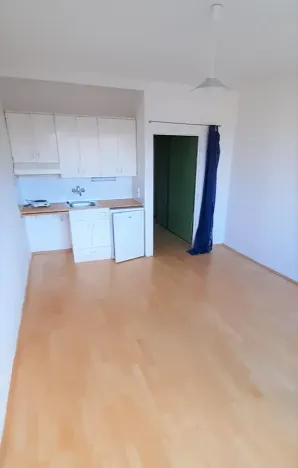 Pronájem bytu 1+kk, Praha - Michle, Batelovská, 25 m2