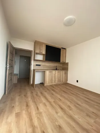 Pronájem bytu 1+kk, Most, U Věžových domů, 22 m2