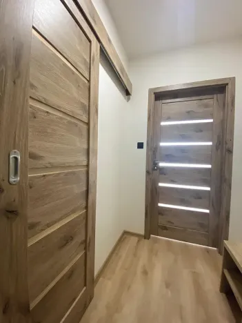 Pronájem bytu 1+kk, Most, U Věžových domů, 22 m2