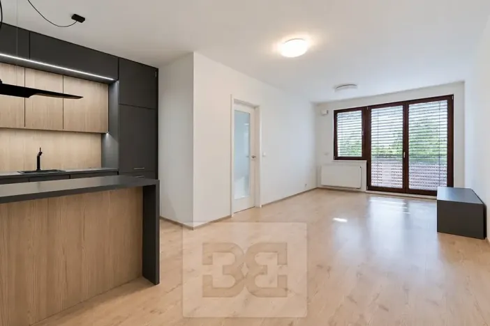 Pronájem bytu 2+kk, Praha - Libeň, Davídkova, 65 m2