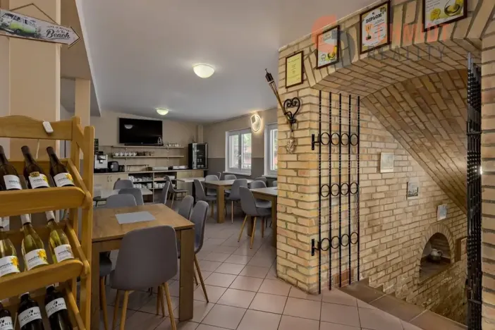 Prodej vícegeneračního domu, Podivín, 450 m2