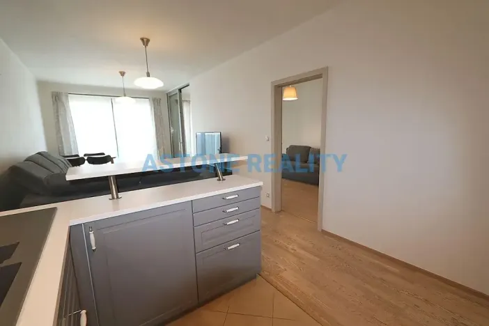 Pronájem bytu 4+kk, Praha - Žižkov, Olšanská, 110 m2