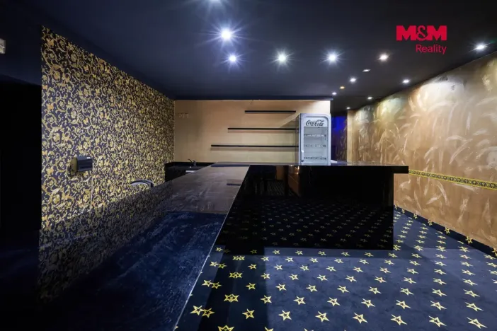 Pronájem obchodního prostoru, Uherský Brod, Moravská, 205 m2