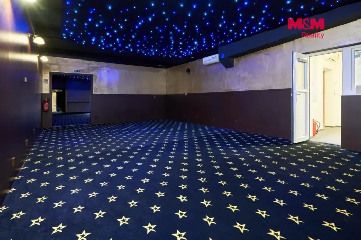Pronájem obchodního prostoru, Uherský Brod, Moravská, 205 m2