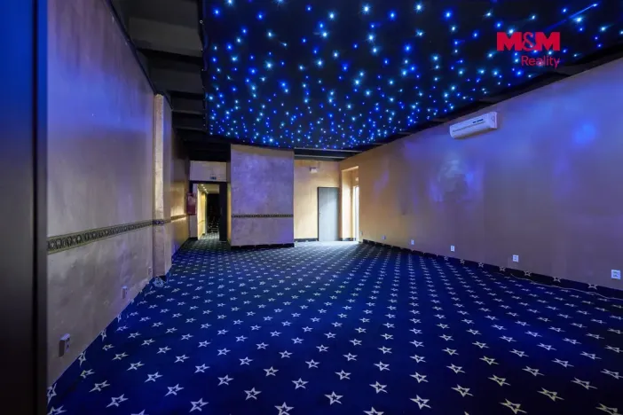 Pronájem obchodního prostoru, Uherský Brod, Moravská, 205 m2