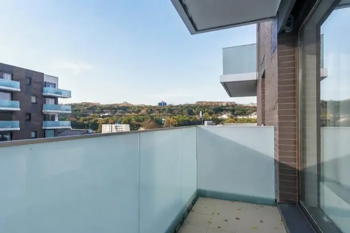 Pronájem bytu 2+kk, Praha - Karlín, Nekvasilova, 67 m2