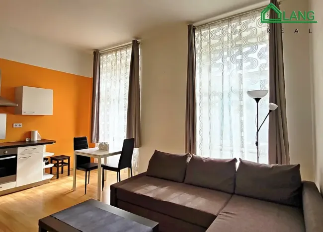 Pronájem bytu 1+kk, Brno, Koliště, 31 m2