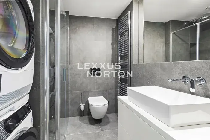 Pronájem bytu 1+kk, Praha - Michle, Hodonínská, 32 m2
