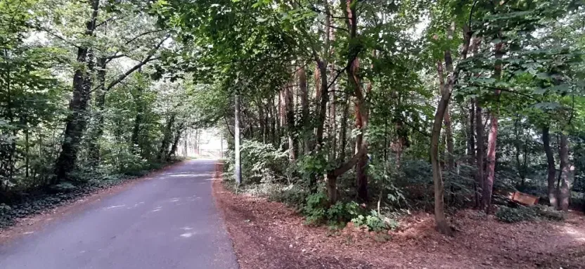Prodej lesa, Mostkovice, 576 m2