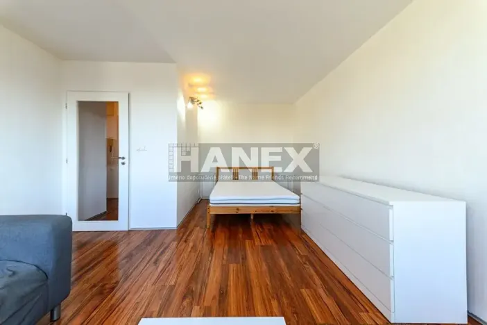 Pronájem bytu 1+kk, Praha - Karlín, Molákova, 36 m2