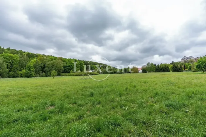 Prodej pozemku pro bydlení, Lipnice nad Sázavou, 38008 m2