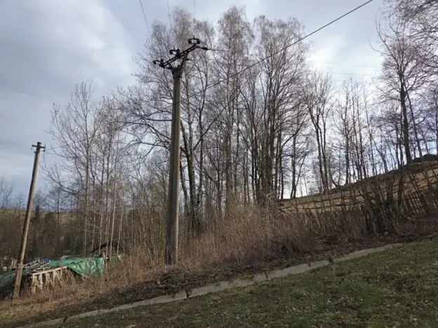 Prodej lesa, Rokytnice v Orlických horách, 3079 m2