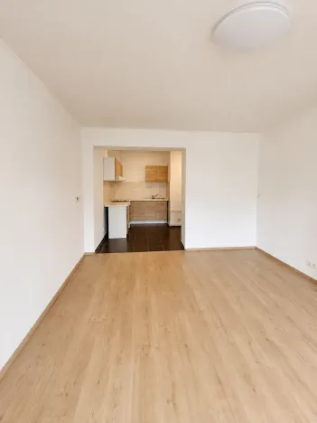 Pronájem bytu 3+kk, Novosedlice, Jindřišská, 70 m2