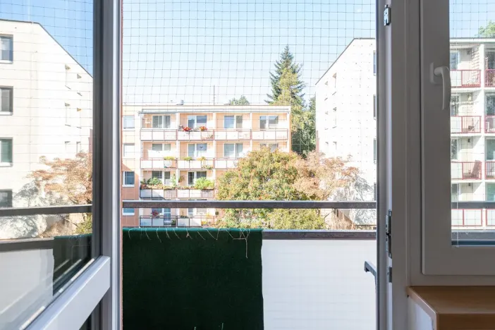 Prodej bytu 2+1, Brno - Žabovřesky, Fričova, 54 m2