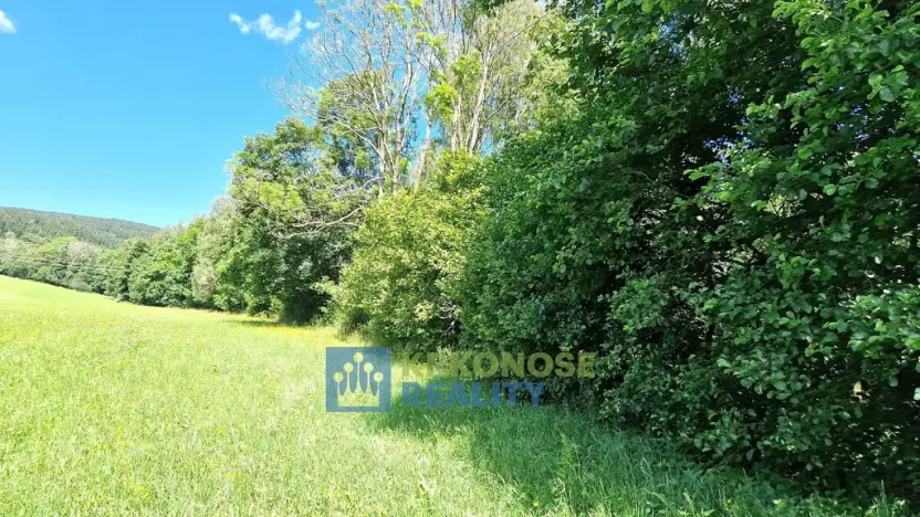 Prodej louky, Trutnov - Babí, 22776 m2