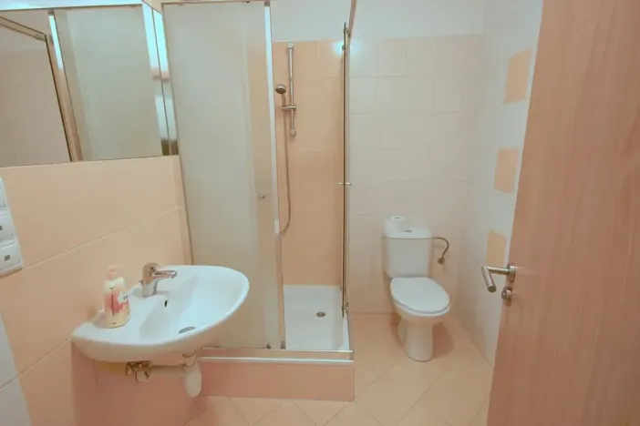 Pronájem bytu 1+kk, Brno, Tkalcovská, 30 m2