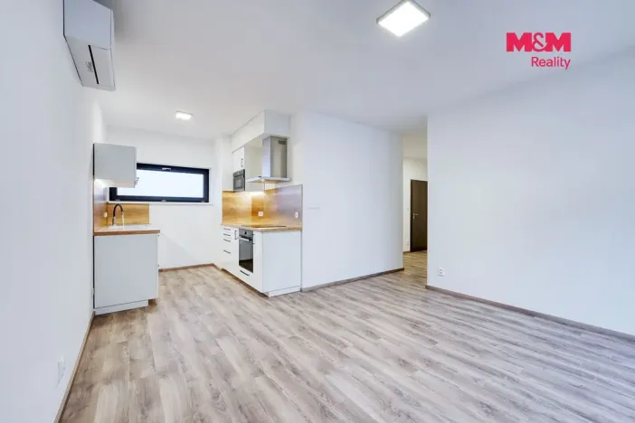 Pronájem bytu 2+kk, Plzeň - Východní Předměstí, Sladová, 54 m2