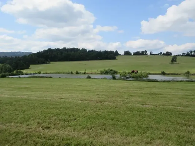 Prodej chalupy, Strašice, 231 m2