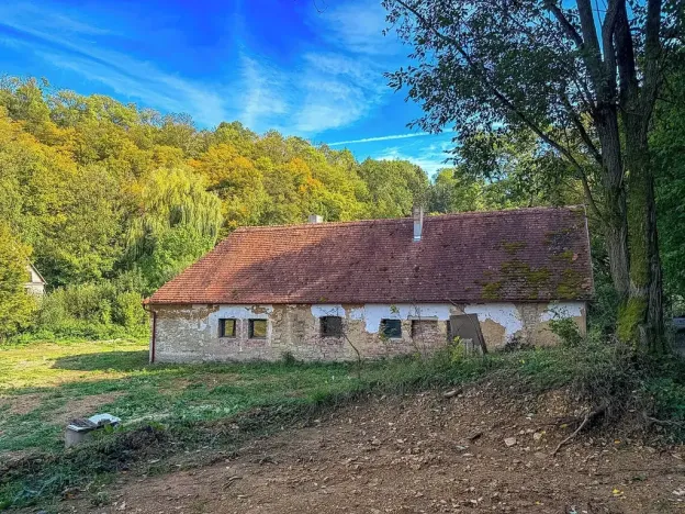 Prodej pozemku pro bydlení, Řepníky, 19850 m2