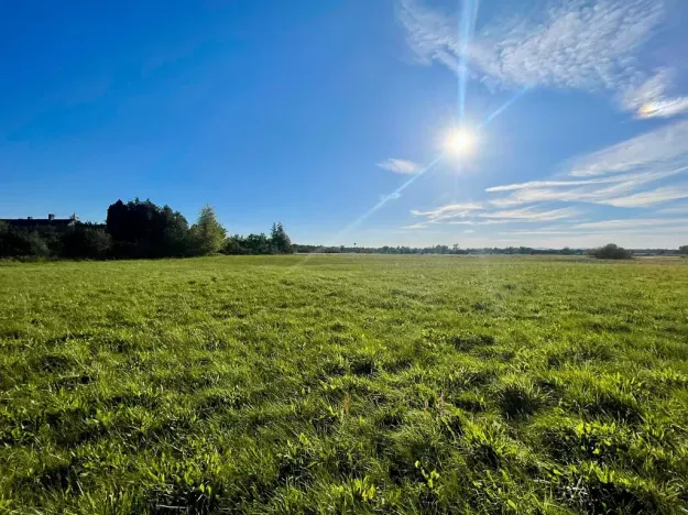Prodej komerčního pozemku, Horka I, 1000 m2