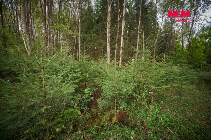 Prodej pozemku pro bydlení, Trutnov - Starý Rokytník, 1788 m2