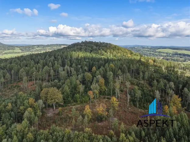Prodej chaty, Krásná Lípa - Vlčí Hora, 190 m2