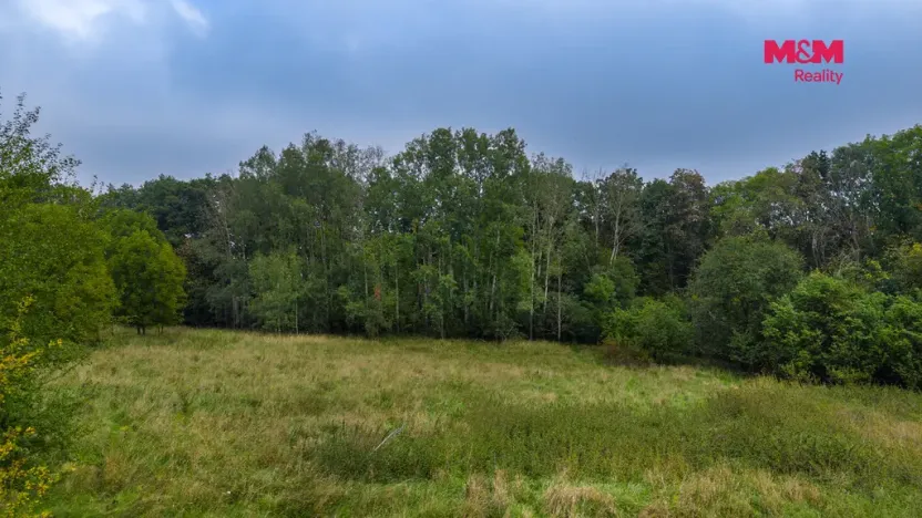 Prodej pole, Blíževedly - Hvězda, 38582 m2