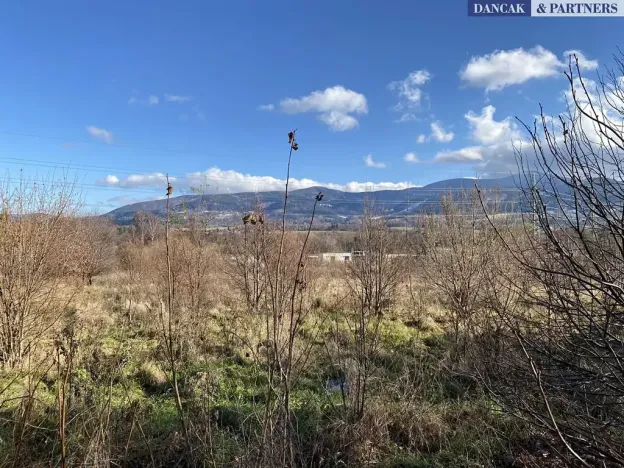 Prodej pozemku pro bydlení, Frýdlant nad Ostravicí, Havlíčkova, 6279 m2