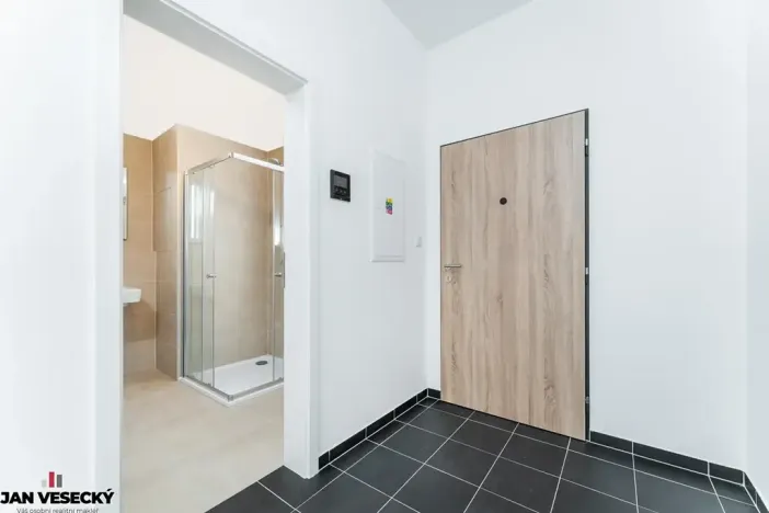 Prodej bytu 1+kk, Plzeň, Železná, 38 m2