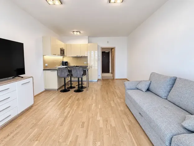 Pronájem bytu 1+kk, Praha - Žižkov, Olšanská, 37 m2