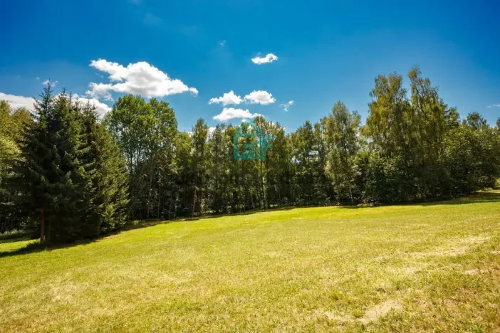 Prodej pozemku, Benešov nad Černou - Klení, 6805 m2