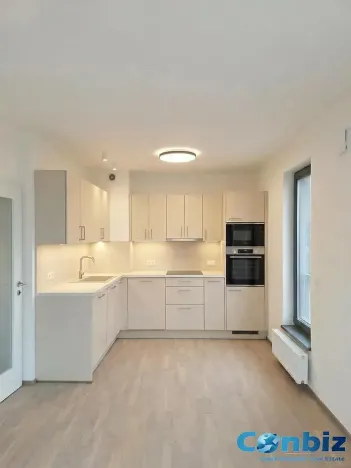 Pronájem bytu 2+kk, Praha - Karlín, Švarcova, 54 m2