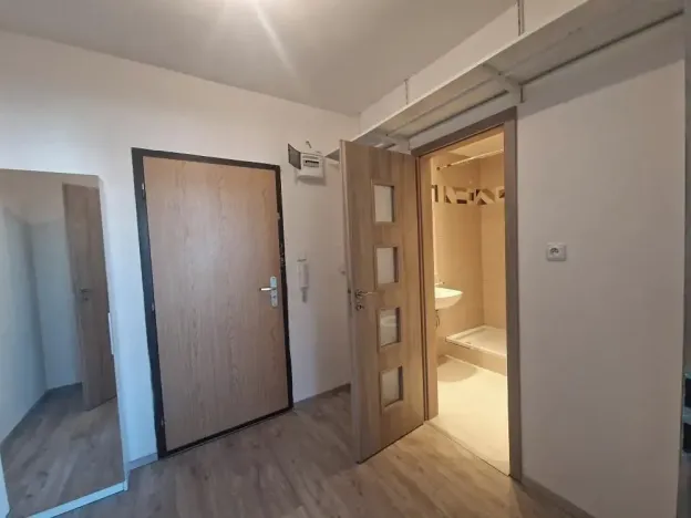 Pronájem bytu 1+kk, Praha - Chodov, Bachova, 25 m2