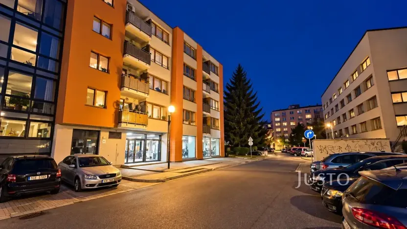 Prodej obchodního prostoru, Písek, V Portyči, 229 m2